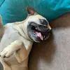 Coco Hunter - @cocohunter8 - TikTok