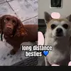 coco.hunterx - @coco.hunterx - TikTok