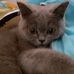 Coco Jiang - Facebook