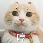 Coco Jiang - @grumpppppy - Instagram