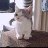 Coco Jiang - @baby_co333444 - TikTok