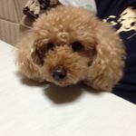 COCOママ - @l.cocokan.gm - Instagram