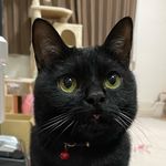 cocokan-p - @cocokanp - Instagram