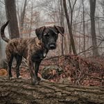 Coco Haavie Kennedy - @cocogrammy - Instagram