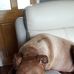Coco kennedy - Facebook