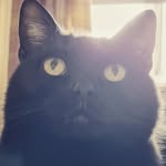 CoCo Kennedy - @cute.as.coco - Instagram
