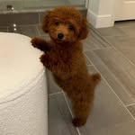 @coco_kennedy_ - Instagram