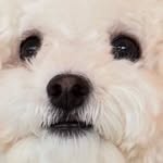 coco lee ✿ - @rilaccoco - Instagram