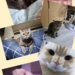 CoCo Leung - Facebook