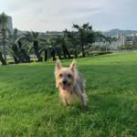 Coco Leung - @ka_ka_leung - Instagram