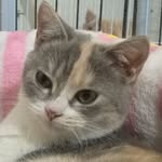 Coco Leung - @coco.leung.7140 - Instagram