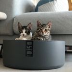 코코루이 - @coco__lewis__ - Instagram