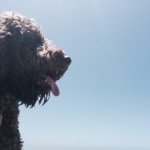 Coco Lewis - @cocobearswag - Instagram