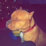 @coco_lewis_55 - Instagram