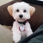 Coco Lewis - @itscocolewis - Instagram