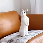 𝙇𝙞𝙩𝙩𝙡𝙚 𝘽𝙪𝙣𝙣𝙮 𝘾𝙤𝙘𝙤 🐰 - @coco_littlebunny - Instagram