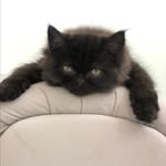 coco.__.little - @coco.__.little - Instagram