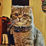 #coco - @coco.little_boy - Instagram
