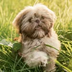 Coco - @coco_little_coconut - Instagram