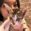 cocolittle - @cocomallow - TikTok