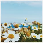 @cocolittlefoot - Instagram