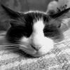little_mr_coco - @little_mr_coco - TikTok