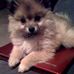 Coco Lloyd - Facebook