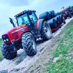 @lloyd_coco - Instagram