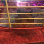 Coco Manning - @cocomanning5573 - Instagram