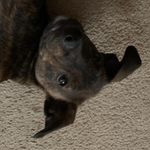 Coco “The Nut” Manning - @el.loco.coco - Instagram