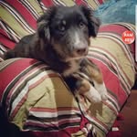 cocoa maurer - @maurercoco - Instagram