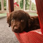 Coco Mavis Archer - @cocomavisarcher - Instagram