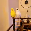 Coco&Mavis - @coco_and_mavis - TikTok