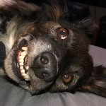 Coco - @coco_meyer_ - Instagram