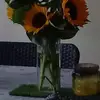 Coco Meyer - @coco.meyer1 - TikTok