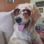 @coco_mishra_1730 - Instagram