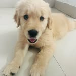 Coco mishra - @cocothemonster22 - Instagram