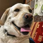 coco mishra - @coco_mishra4555 - Instagram