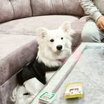 Coco Mishra - @coco_mishraa - Instagram