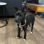 Coco Bean Moore - @coco_bean_moore - Instagram