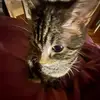 Coco - @cococo_moore - TikTok