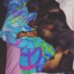 coco Moore - @puppycoco101 - Instagram