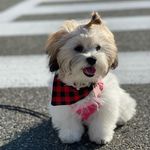 Coco Nguyen - @coco.nguyen2021 - Instagram
