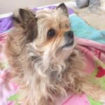 Coco Cabana Nichols - @coco_treats_lover22 - Instagram