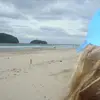 coco - @coco.vebernichols - TikTok