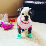 Coco_NielsenSalgado - @coco.chulita - Instagram