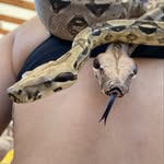 Coco y Maca 🐍🐍 - @coconiel1910 - Instagram