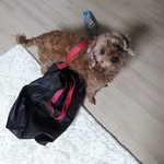 임영미 - @coconielly - Instagram