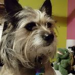 Coco May Ortiz - Facebook