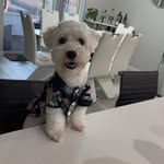 Coco Ortiz - @_cocolicioussss - Instagram